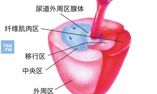 舒肝康丸的功能与主治网-分享舒肝康胶囊的功效与作用要吃久停药，舒肝康胶囊知识库